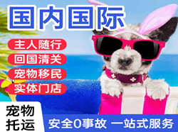 合肥机场托运国际宠物托运 【国